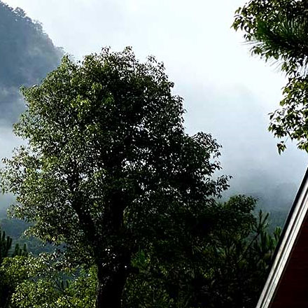 科技公司酒店vi設(shè)計(jì)