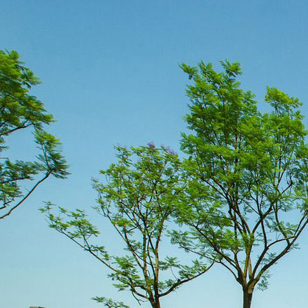 北京酒店品牌設(shè)計作品案例展示