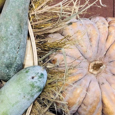 北京酒店品牌設(shè)計作品案例展示