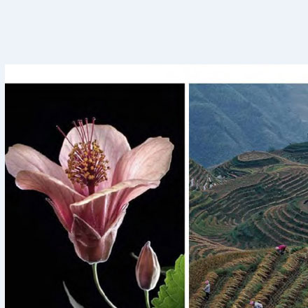 蘇州酒店導(dǎo)視設(shè)計(jì)作品案例展示